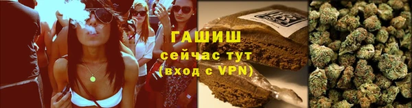 гашик Дмитриев