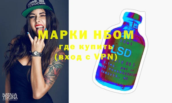 индика Дмитров