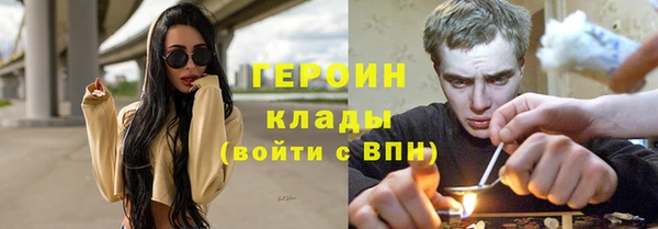 индика Дмитров