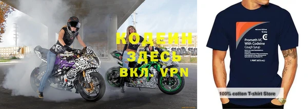 гашик Дмитриев