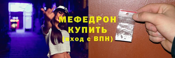 индика Дмитров