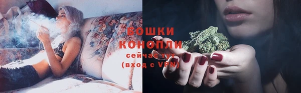 крисы Гусиноозёрск