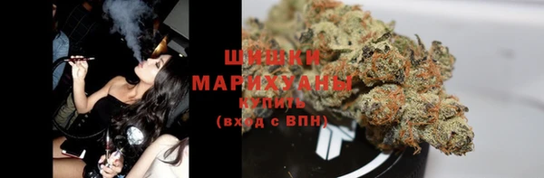 гашик Дмитриев