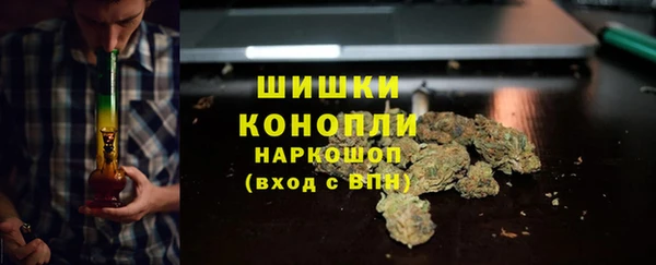 Альфа ПВП Дмитровск