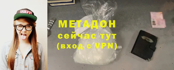 индика Дмитров