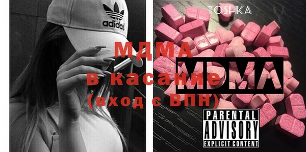 индика Дмитров