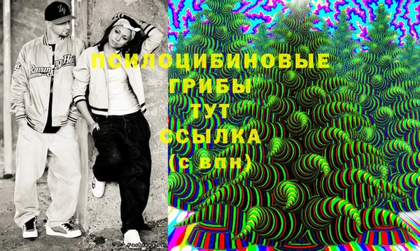 крисы Гусиноозёрск