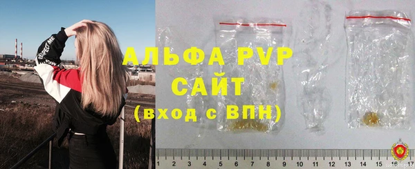 гашик Дмитриев