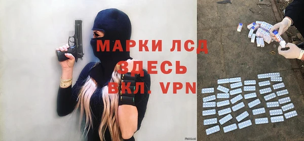 гашик Дмитриев