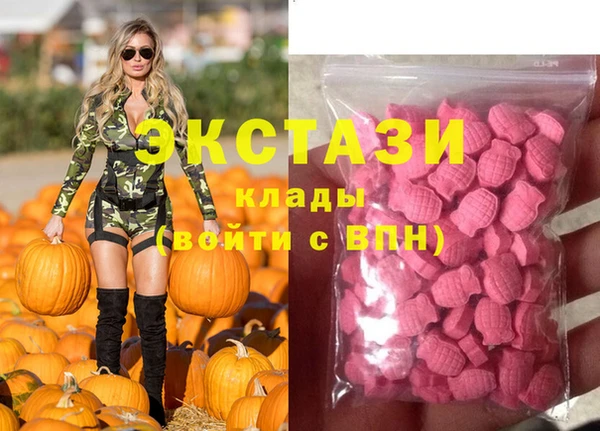 гашик Дмитриев